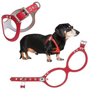 Buddy belt leash sales